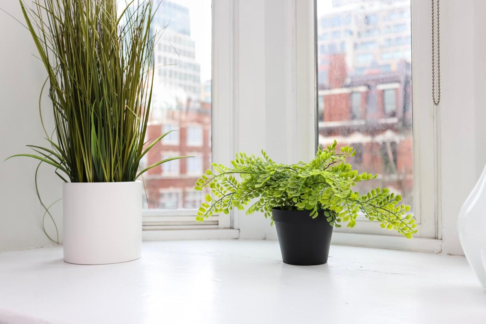 Stylish Studio On Newbury St #3 Boston Extérieur photo